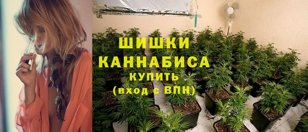 трава Алзамай