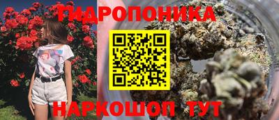 Альфа ПВП Донецк
