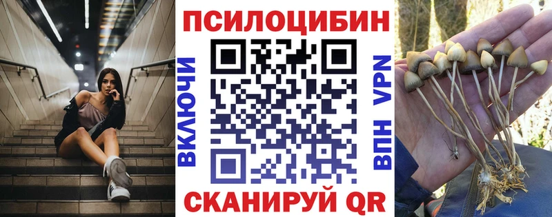 Галлюциногенные грибы GOLDEN TEACHER  сколько стоит  Советская Гавань 