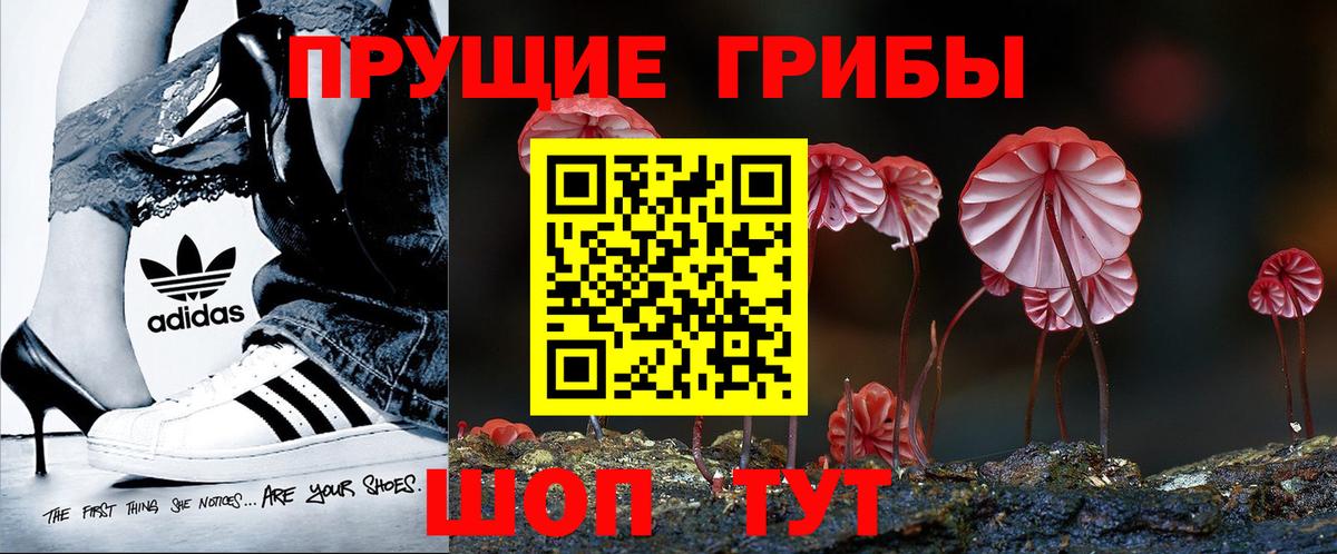 Советская Гавань  Псилоцибиновые грибы MAGIC MUSHROOMS  Вход с VPN  Псилоцибиновые грибы Psilocybe 