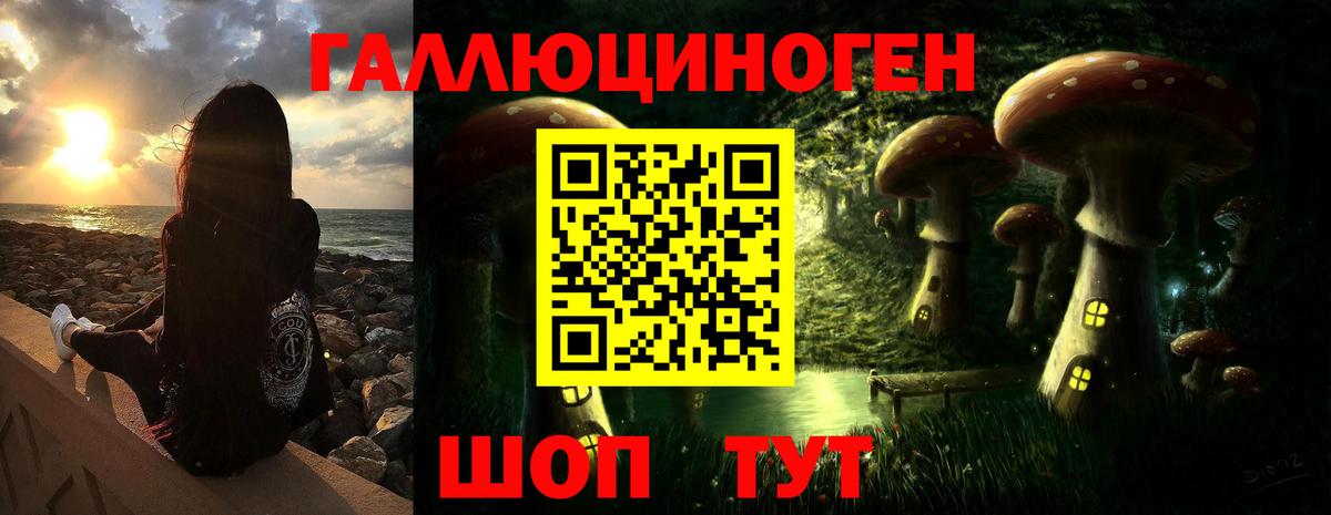 Псилоцибиновые грибы Cubensis Советская Гавань